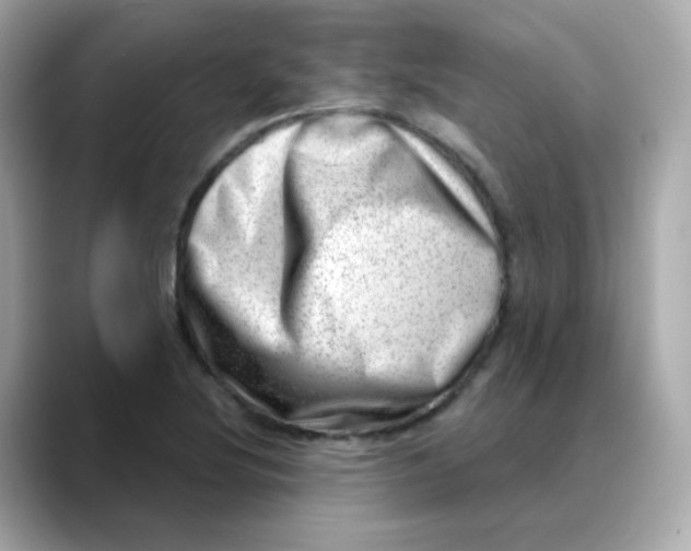 X0000088441220200706051242