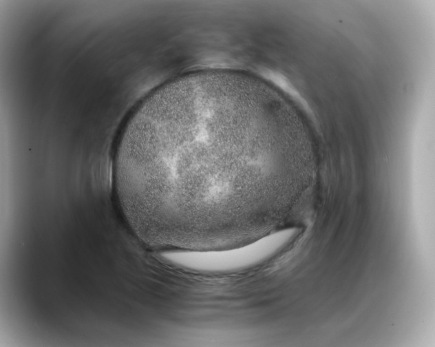 X0000088441221200706051242