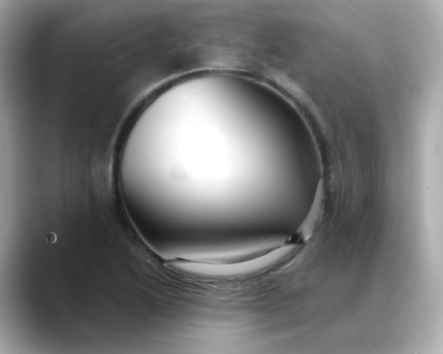 X0000088441222200706051242