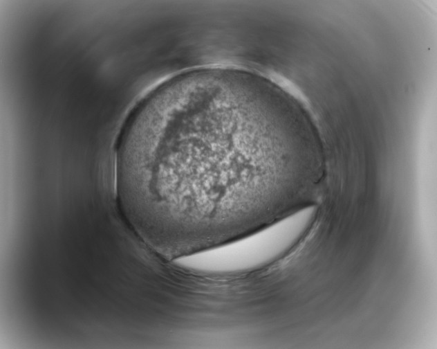 X0000088441223200706051242