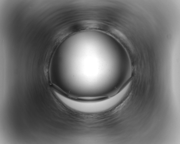 X0000088441225200706051242