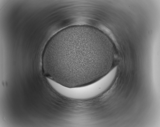 X0000088441226200706051242