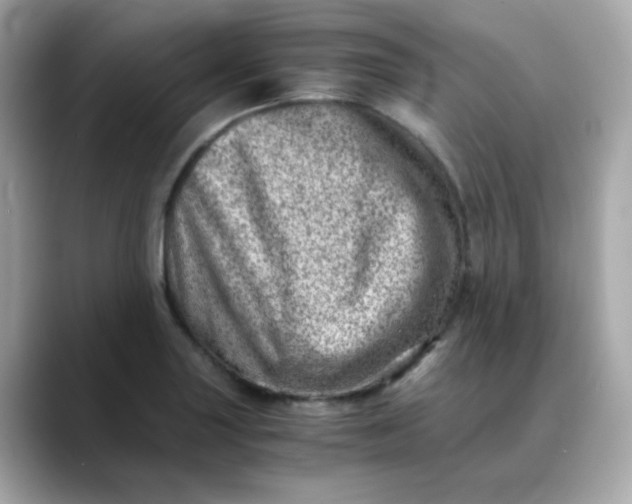 X0000088441227200706051242