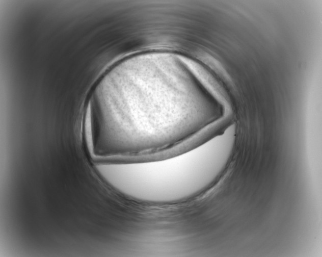 X0000088441228200706051242