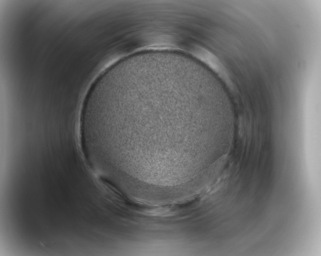 X0000088441229200706051242