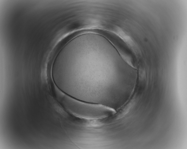 X0000088441230200706051242