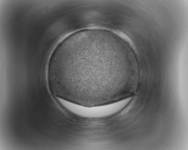 X0000088441231200706051242