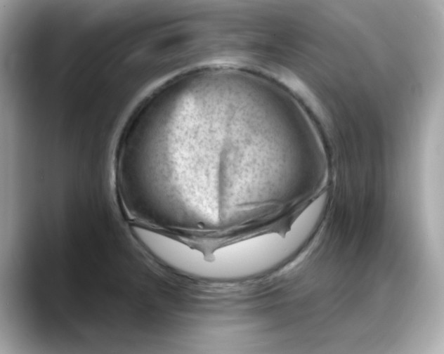 X0000088441232200706051242