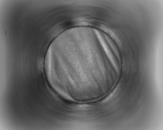 X0000088441233200706051242