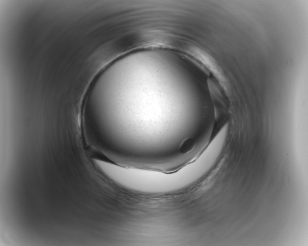 X0000088441234200706051242
