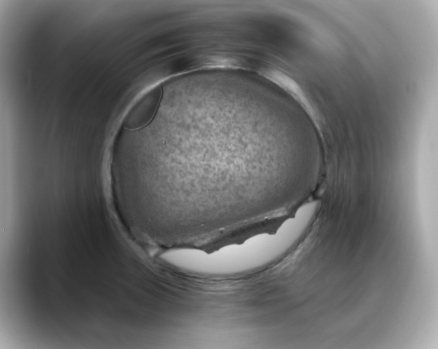 X0000088441235200706051242