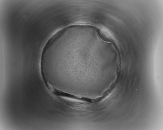 X0000088441237200706051242