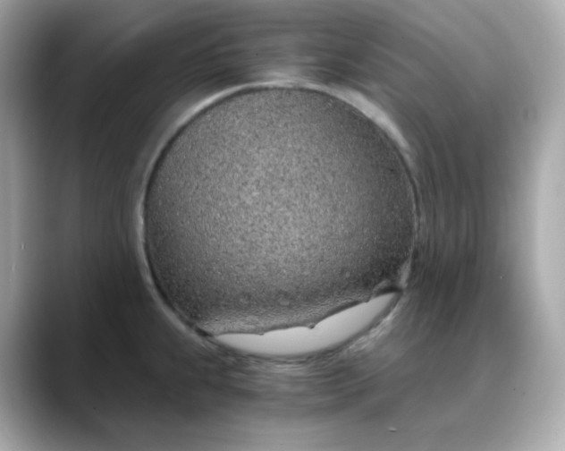 X0000088441239200706051242