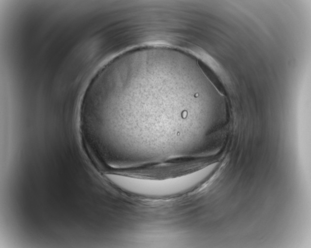 X0000088441240200706051242