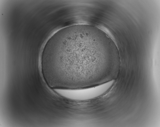 X0000088441243200706051242