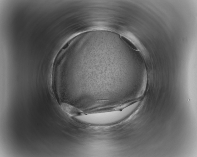 X0000088441244200706051242