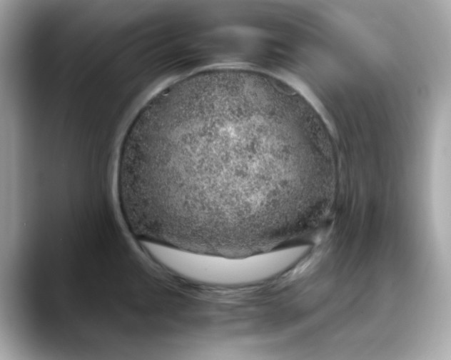 X0000088441245200706051242