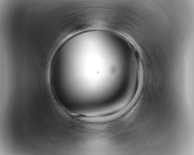 X0000088441246200706051242