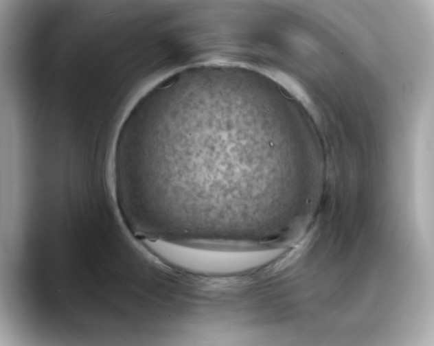 X0000088441247200706051242