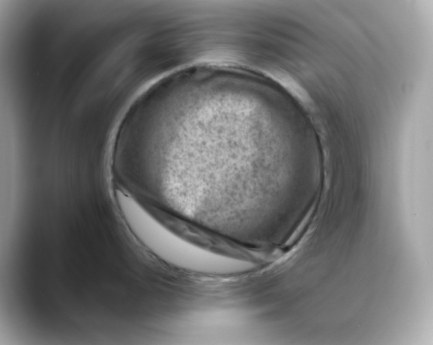 X0000088441248200706051242