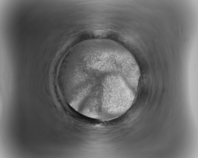 X0000088441249200706051242