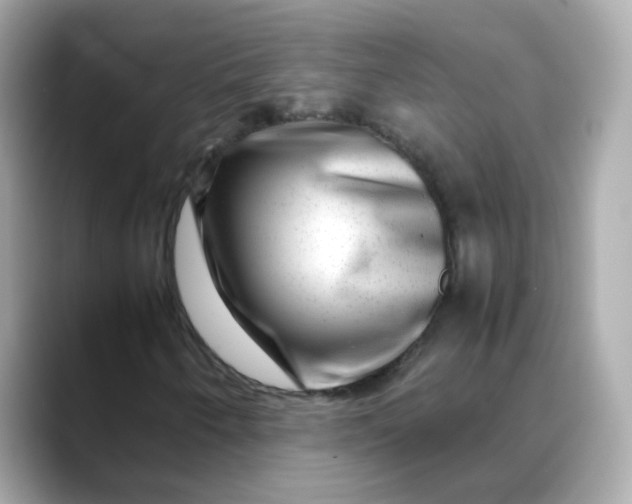 X0000088441250200706051242