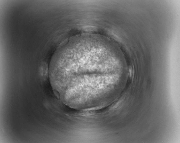 X0000088441251200706051242