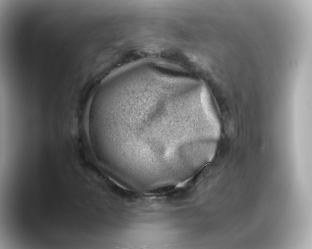 X0000088441253200706051242