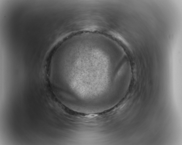 X0000088441256200706051242