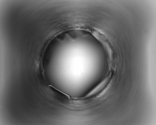 X0000088441257200706051242