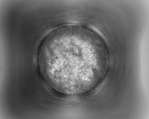 X0000088441259200706051242