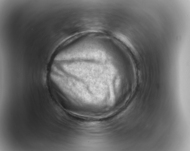 X0000088441260200706051242