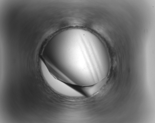 X0000088441261200706051242