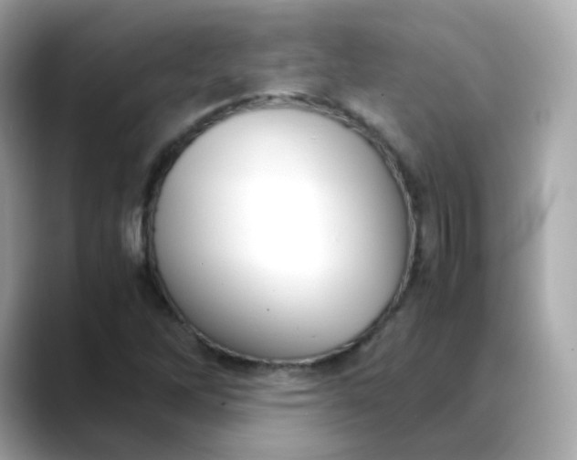 X0000088441262200706051242