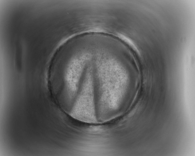 X0000088441264200706051242