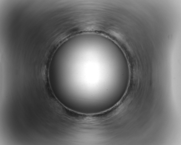 X0000088441265200706051242