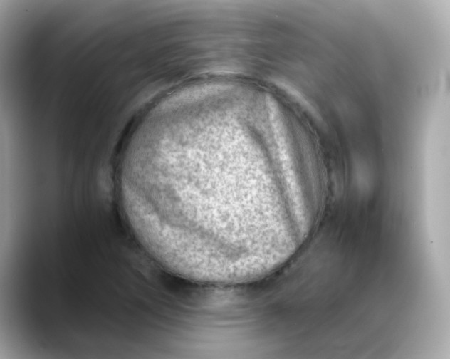 X0000088441266200706051242