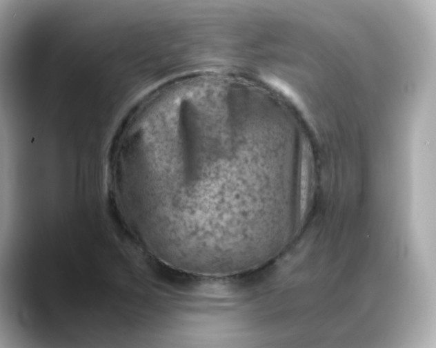 X0000088441267200706051242