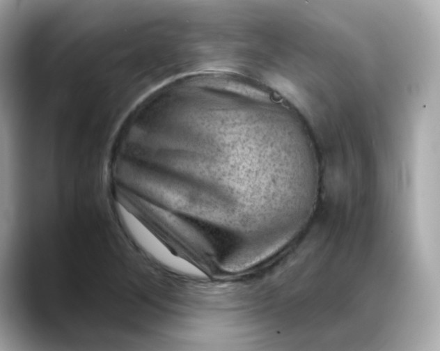 X0000088441268200706051242