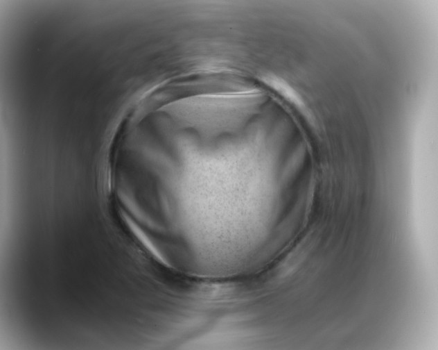 X0000088441269200706051242