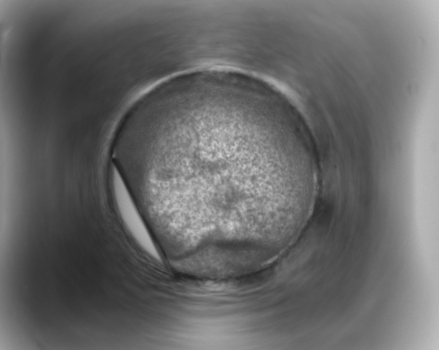 X0000088441271200706051242
