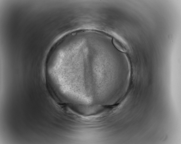 X0000088441272200706051242