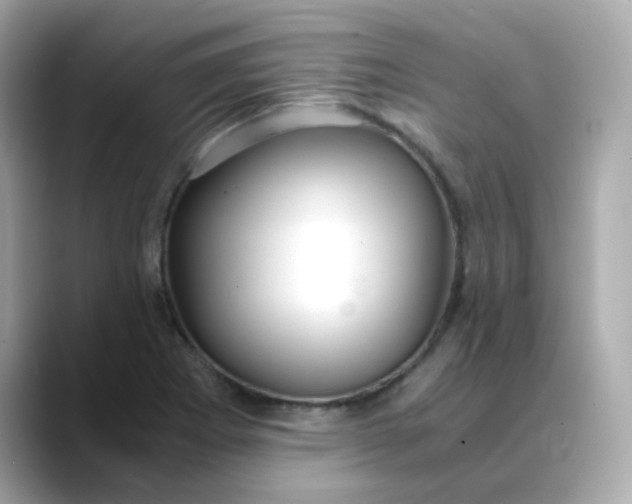 X0000088441273200706051242