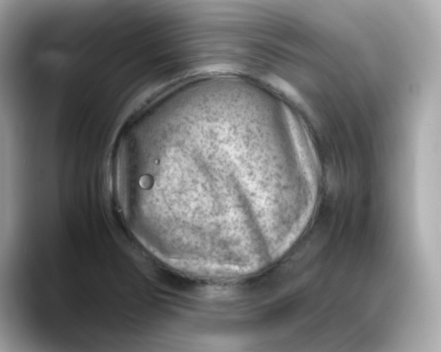 X0000088441274200706051241