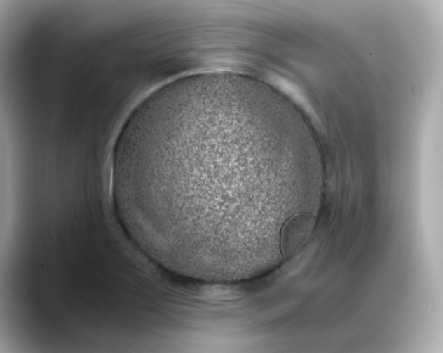 X0000088441275200706051241