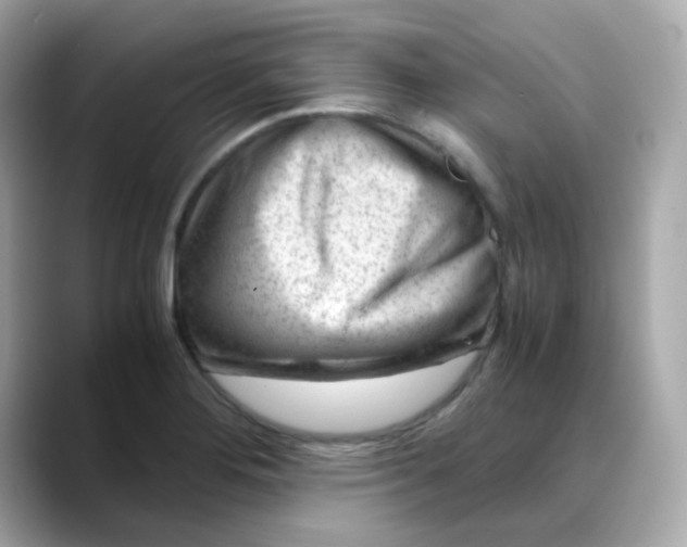 X0000088441276200706051241