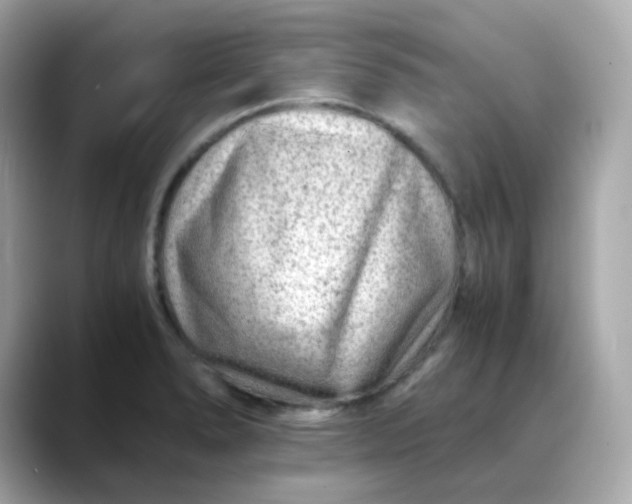 X0000088441278200706051241