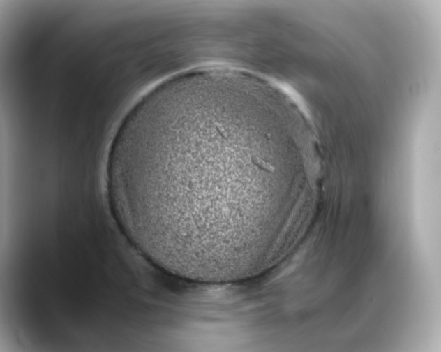 X0000088441279200706051241