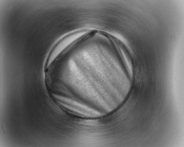 X0000088441280200706051241