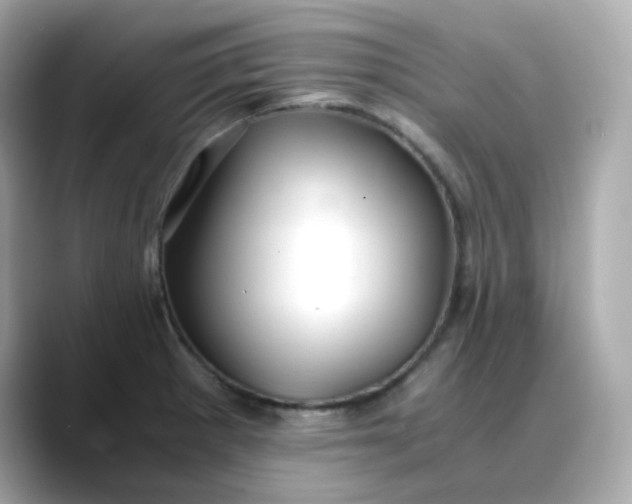 X0000088441281200706051241